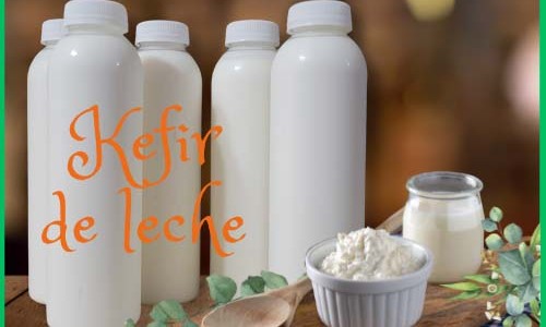 Kefir de leche